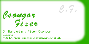 csongor fiser business card